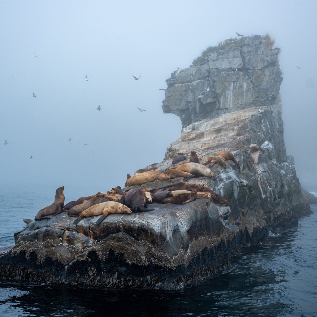 Galapagos Islands