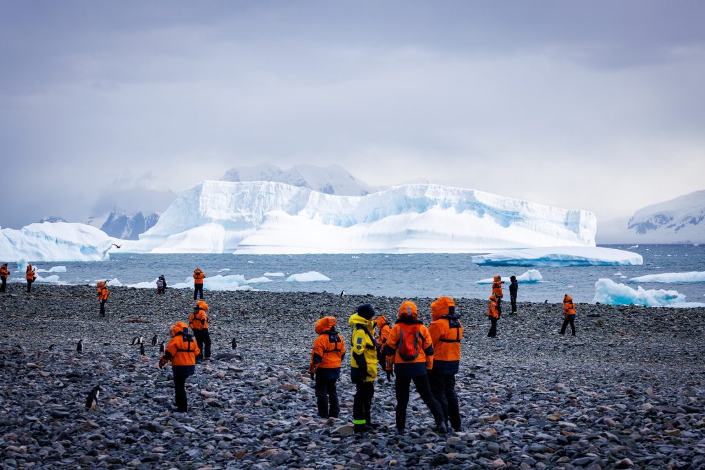Travelers exploring Antarctica alongside pneguins