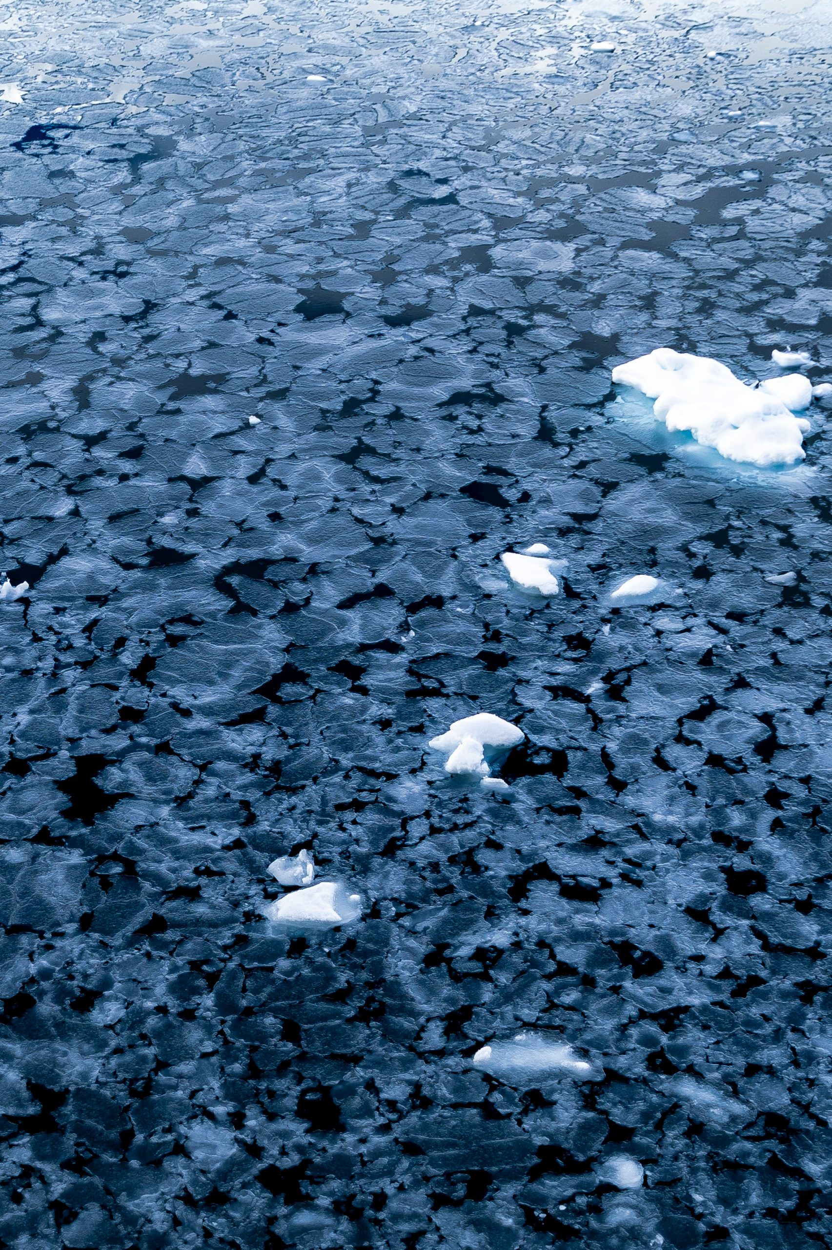 Sea ice in Antarctica