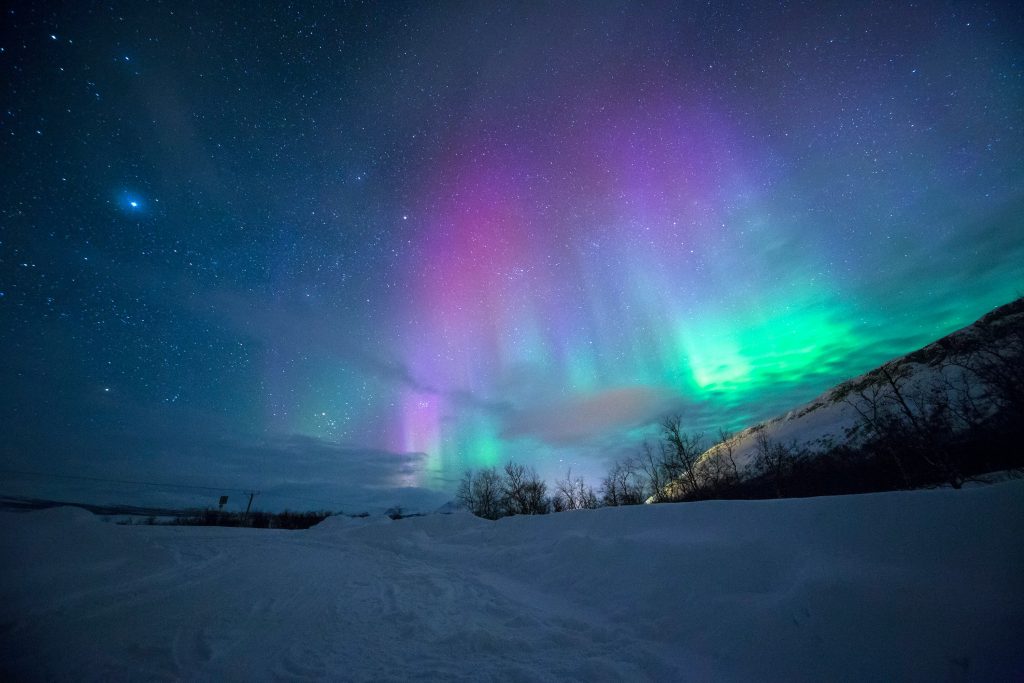 A snowy landscape under a night sky, illuminated by vibrant green, pink, and purple auroras in Norway. Stars twinkle above, and snow-covered trees stand silhouetted against the colorful light display.