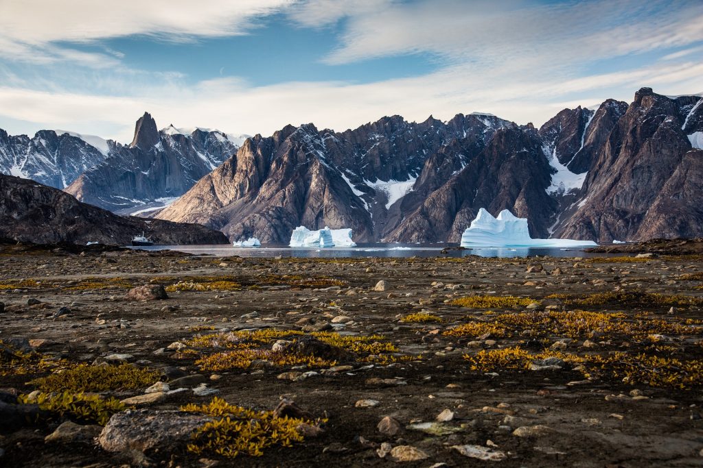 Polar bear swimming in the Arctic Ocean Greenland landcape featuring mountains, glaciers, and lakes.