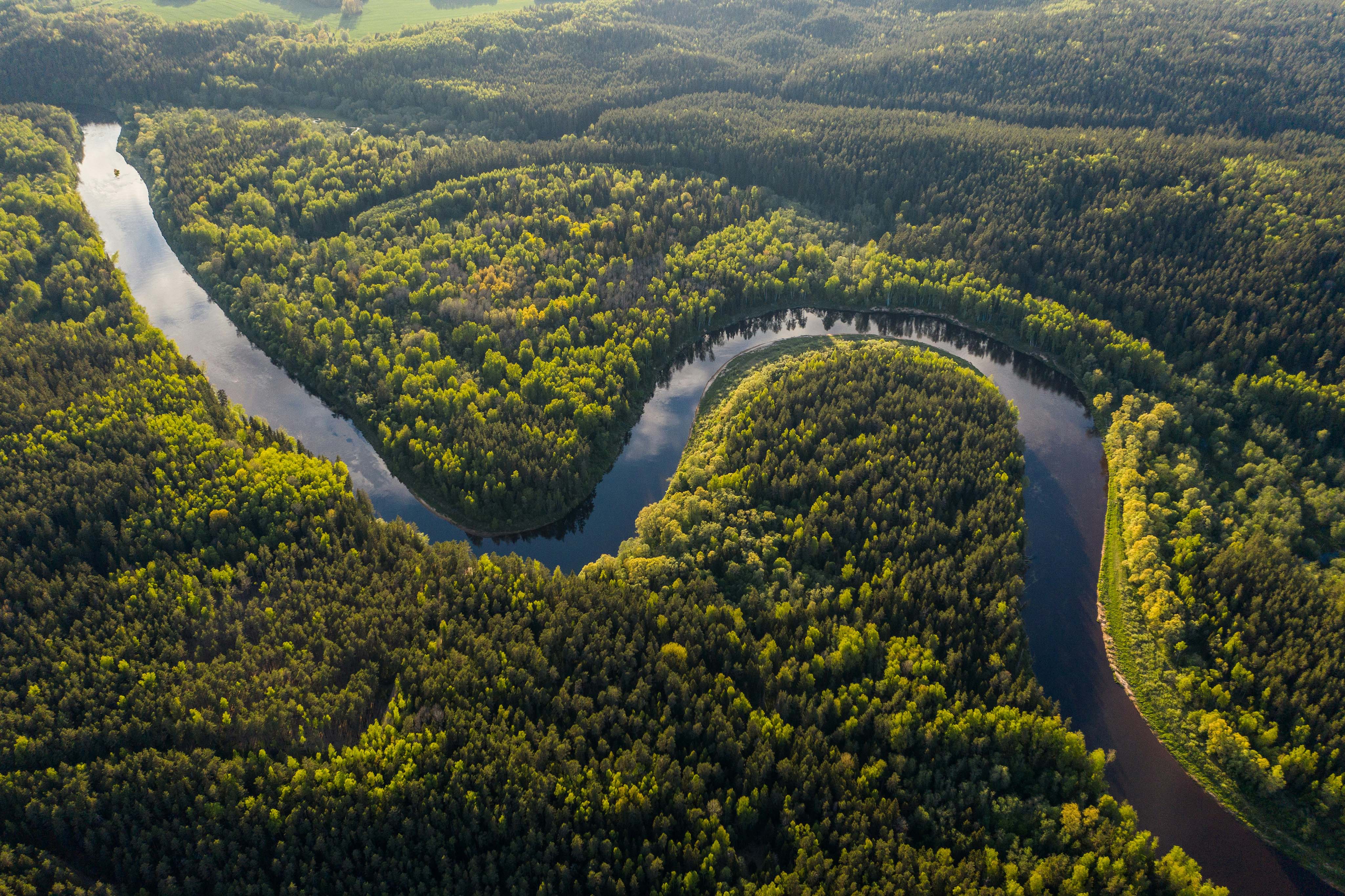 Aerial view of a meandering river cutting through a lush, green forested landscape—a perfect destination for nature enthusiasts. The river curves amidst densely packed trees, creating an S-shaped pattern. Sunlight highlights different shades of green, adding depth to the scenery.