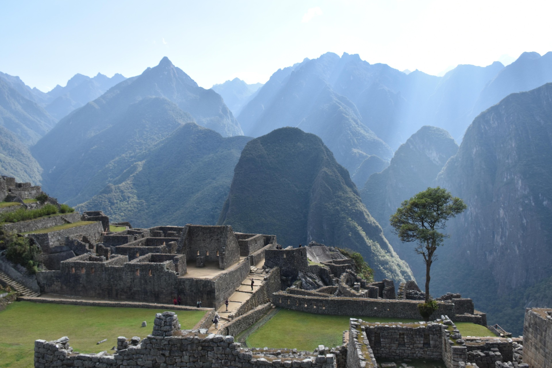 Ancient stone ruins of Machu Picchu sit atop a lush mountain ridge, bathed in sunlight streaming through misty peaks. A single tree grows among the ruins under a blue sky—the best time to visit Machu Picchu is during this clear, vibrant season.