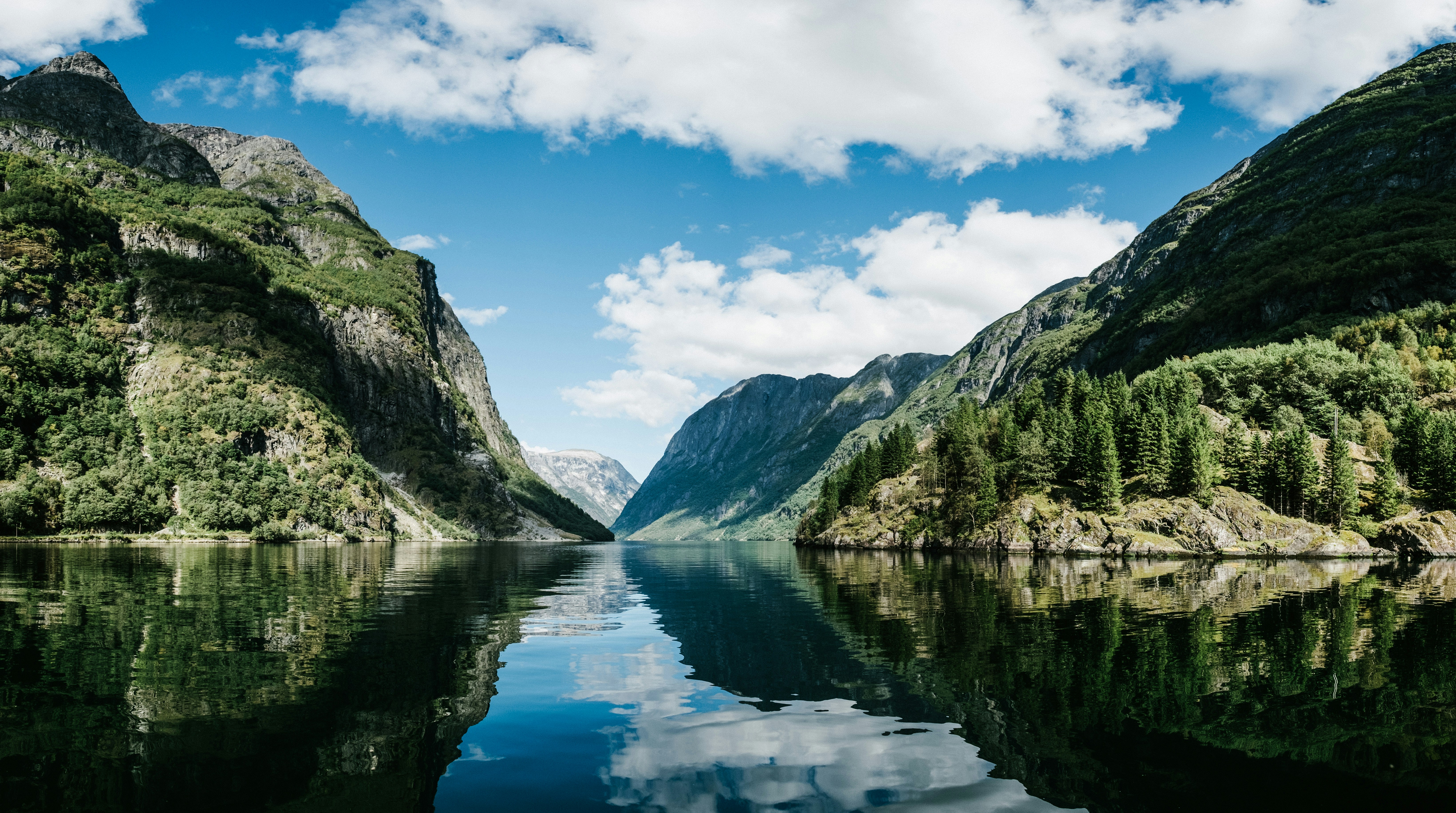 A clear, calm fjord reflects steep, green mountains under a blue sky with scattered clouds. Pine trees cover the slopes, and distant peaks beckon—perfect scenery for Small Ship Norwegian Fjord Cruises.