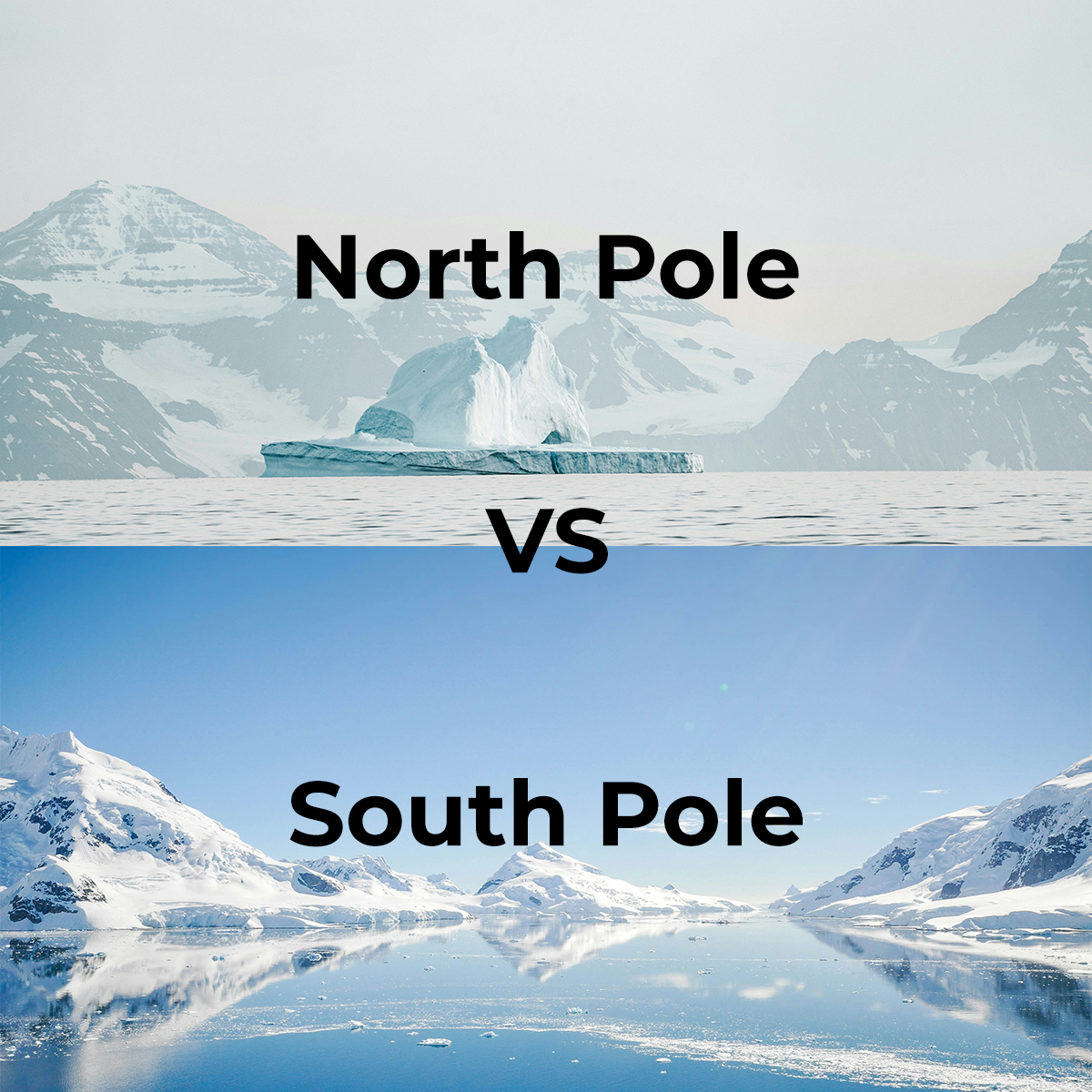 North pole VS South Pole, Antarctica vs Arctic