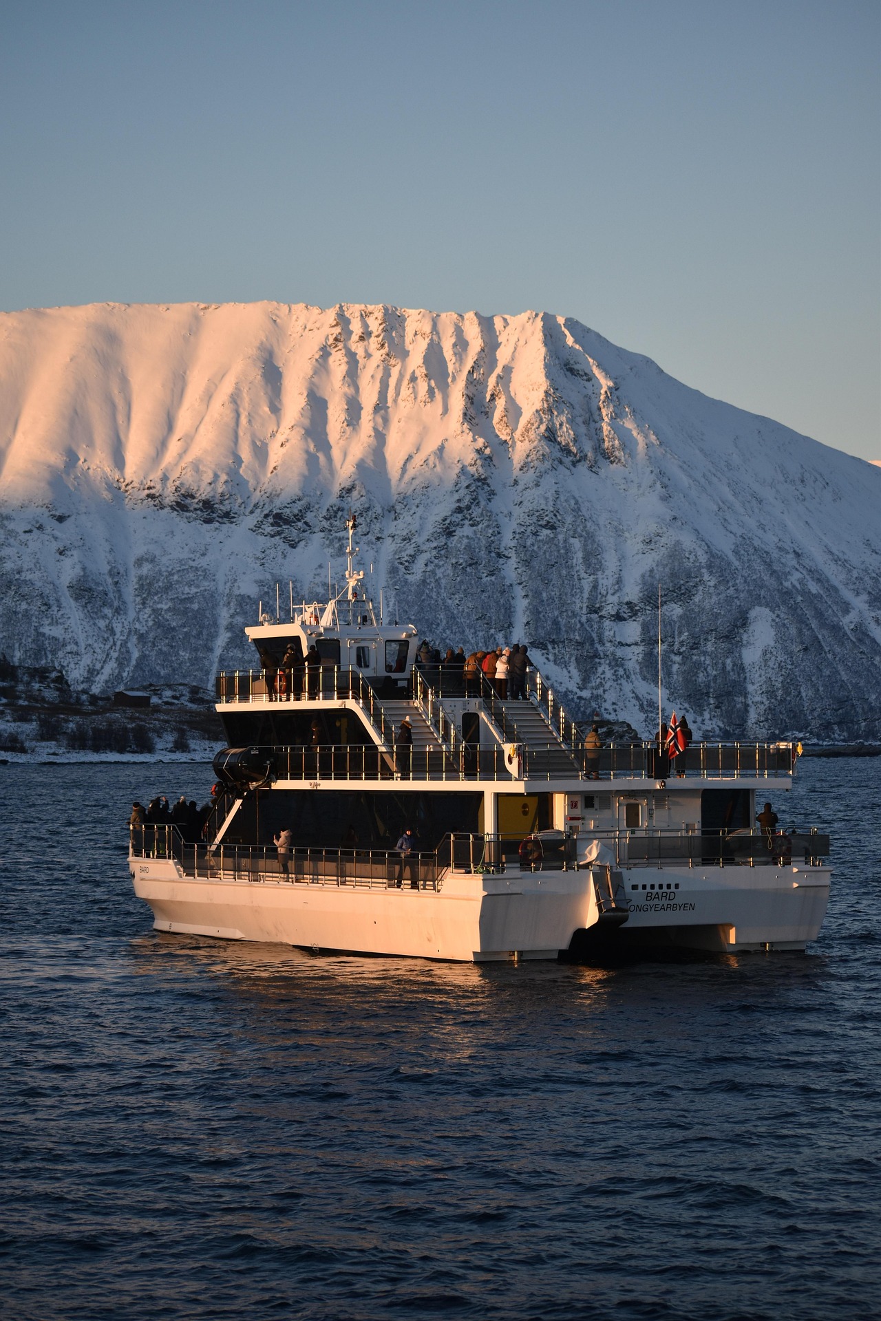 A white ferry with passengers on deck sails on a calm body of water, as a snow-covered mountain rises in the background at sunset—evoking scenes from Antarctica, home to various species of penguins.