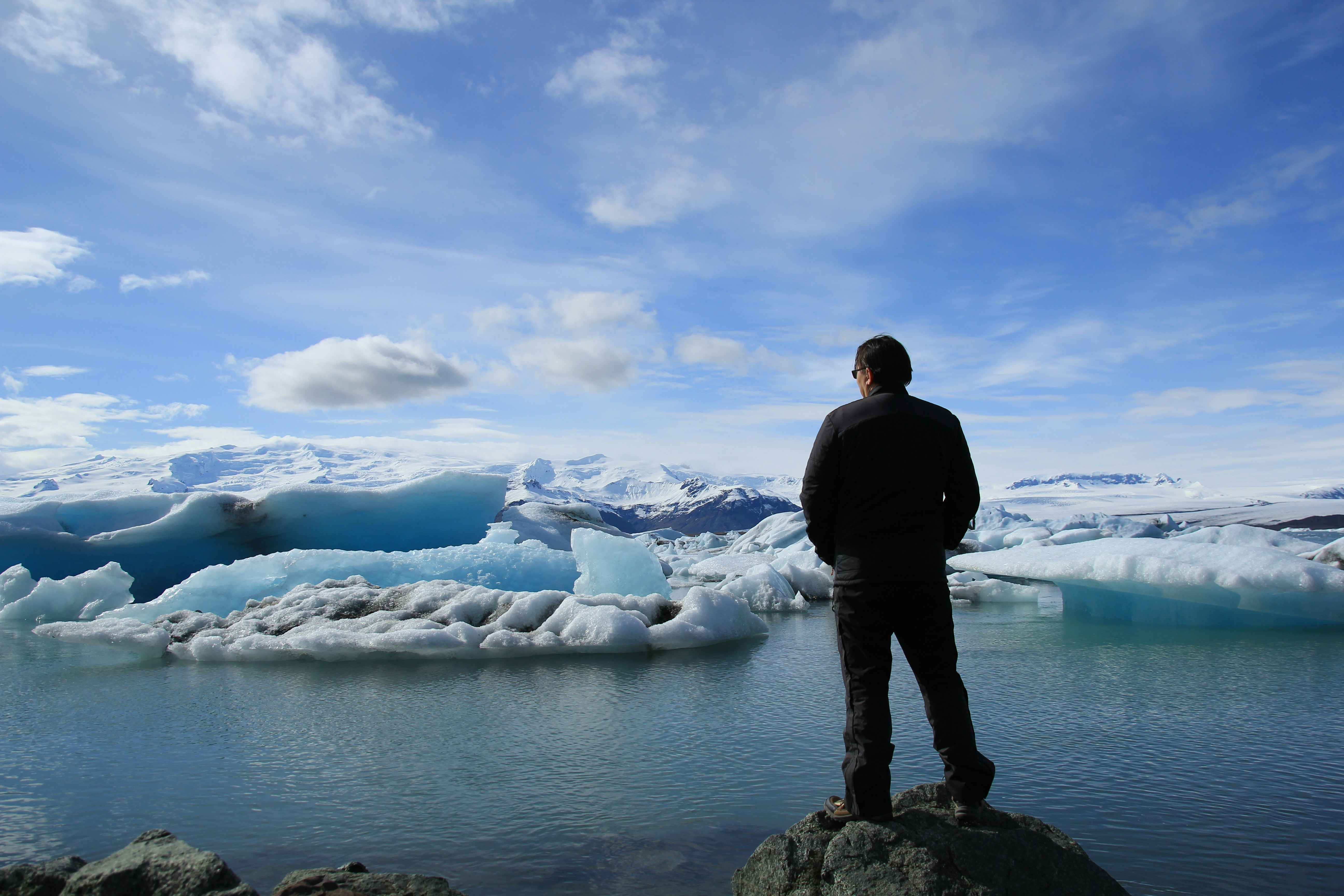 A person stands on a rock by a calm, icy lake, gazing at floating icebergs and snow-covered mountains under a bright, partly cloudy sky—perhaps wondering about the types of seals in Alaska found in such serene waters.