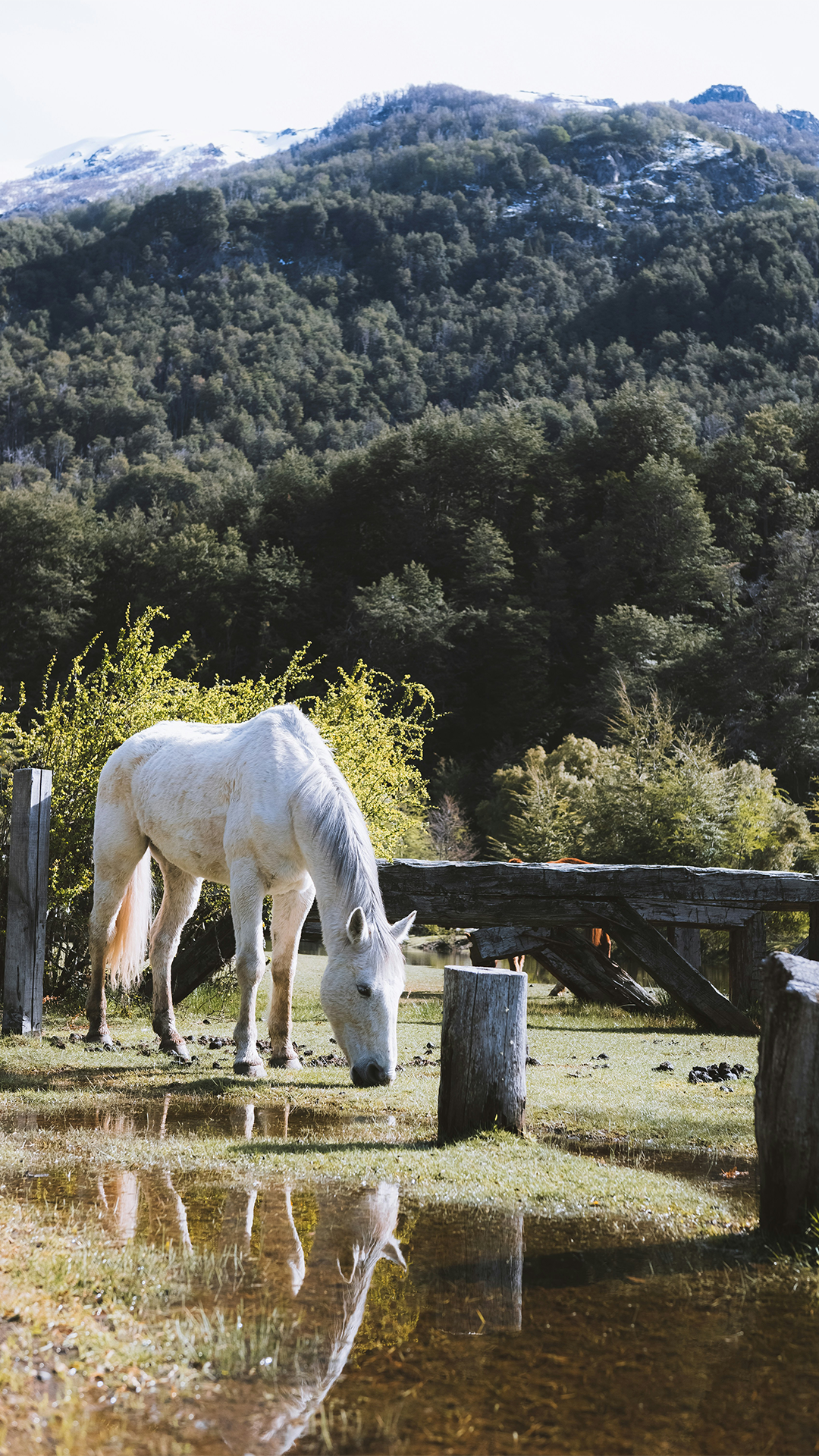 domie sharpin 7nHaDMv33xE unsplash
