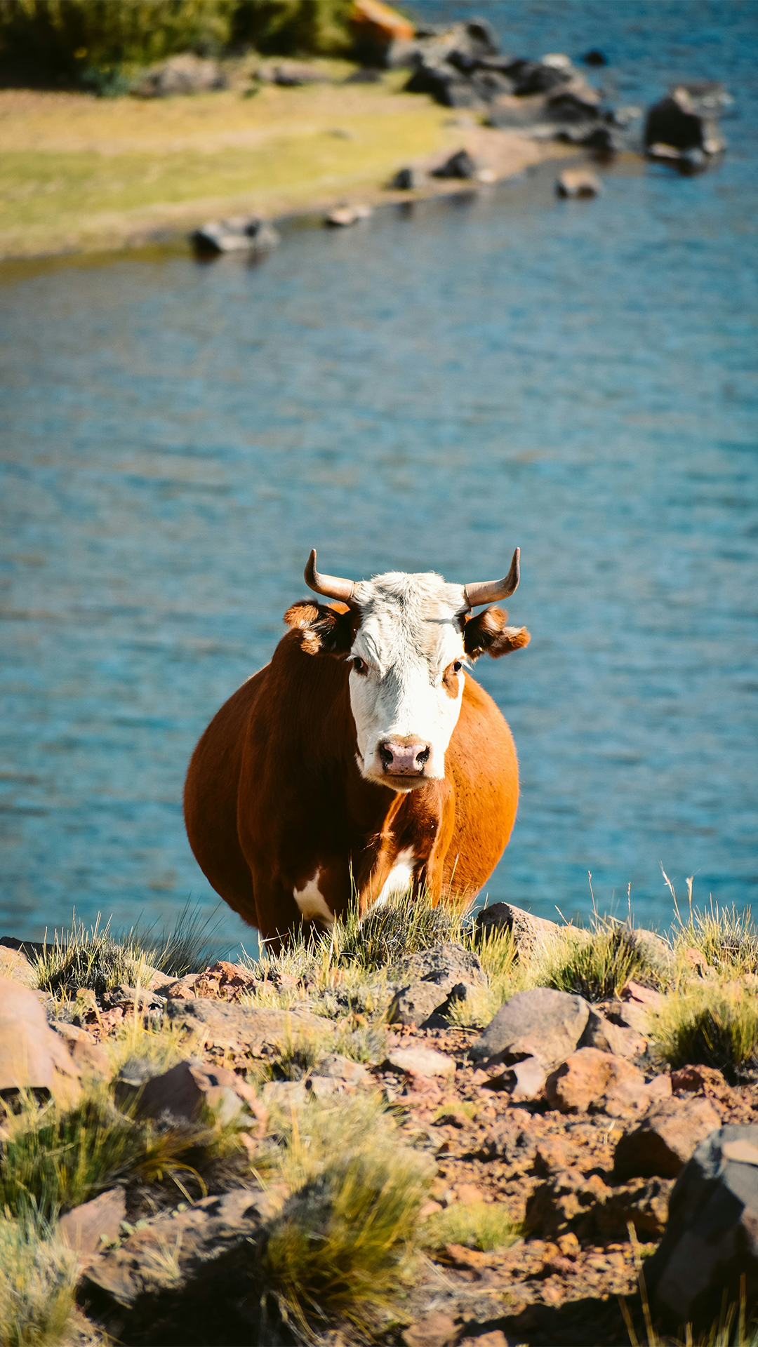 fermin rodriguez penelas FhX0nAxSnc4 unsplash