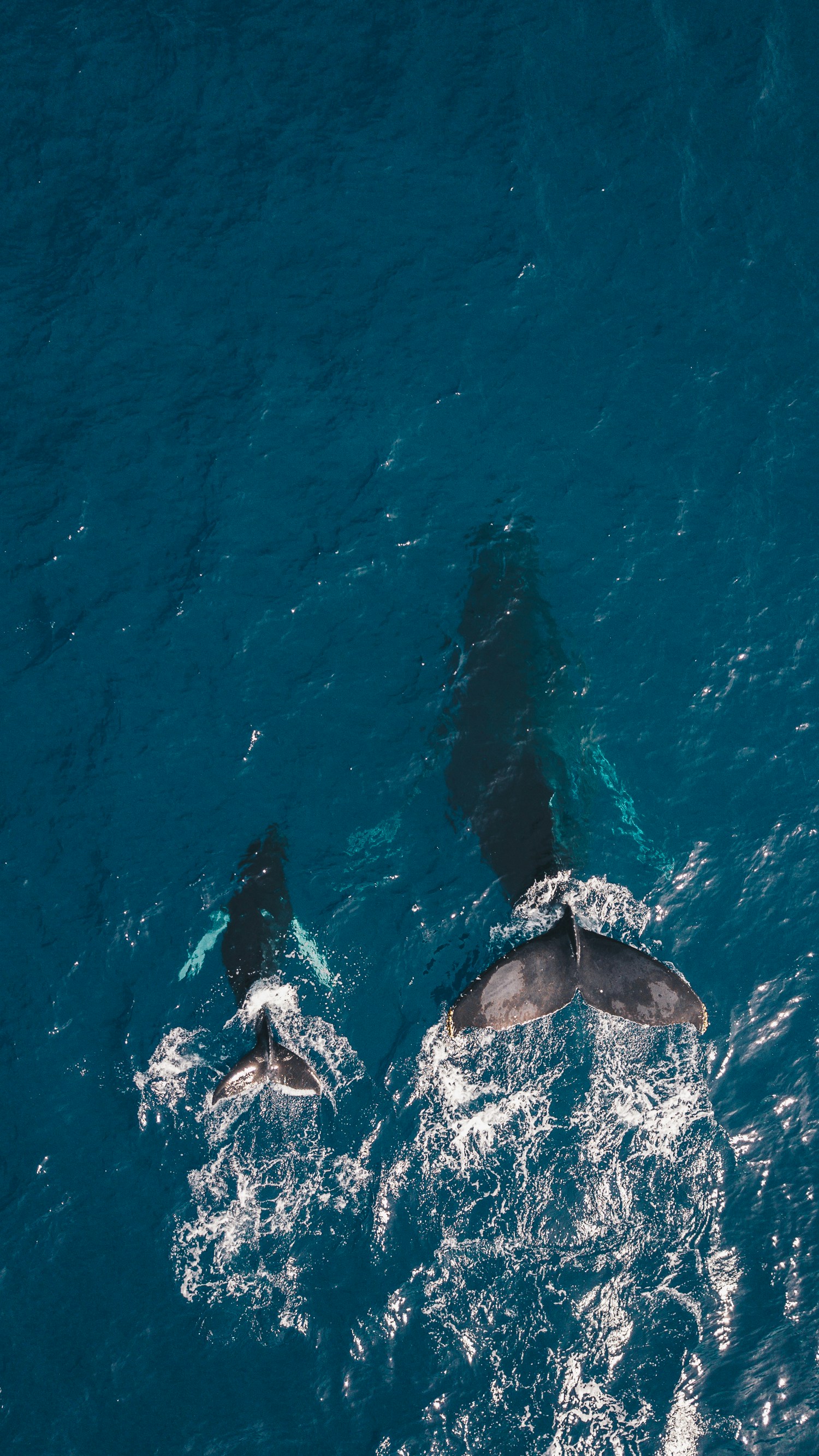 guille pozzi PO0UHx 5mHo unsplash