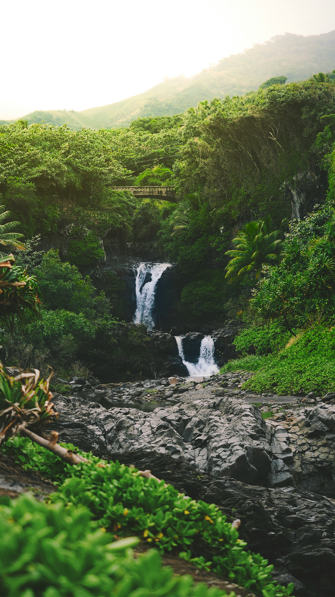nathan ziemanski hjW4o5XfCzc unsplash
