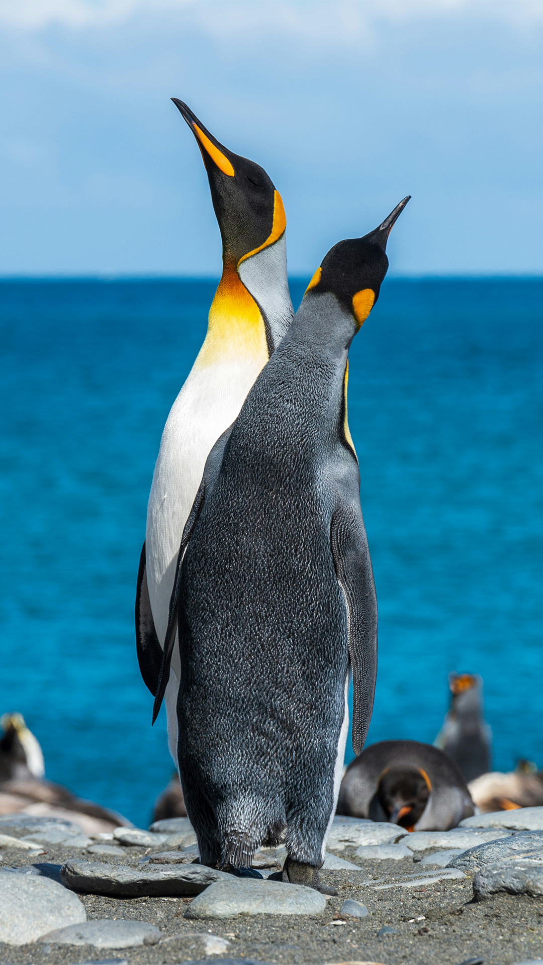 paul carroll Y nyDv3TWm0 unsplash