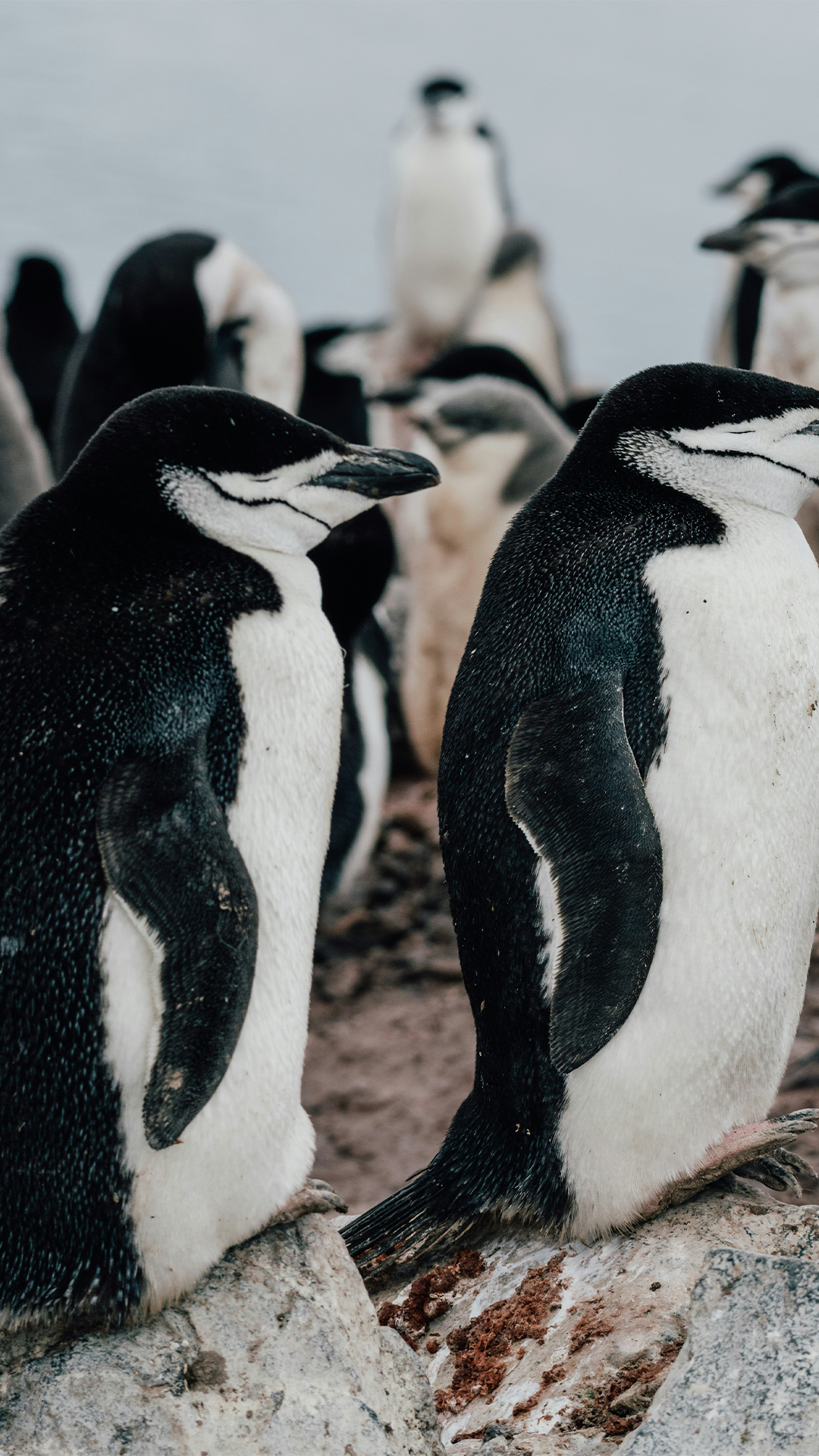 tetiana grypachevska iZPlnoKc8Iw unsplash